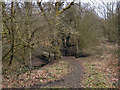 SD6404 : Footpath Through Cunningham Clough by David Dixon