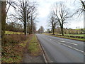 ST4291 : 50 mph speed limit on the A48 in Penhow by Jaggery