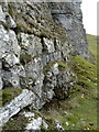 SK1775 : Limestone crag, Cressbrook Dale by Andrew Hill