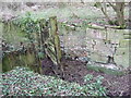 SU1998 : Lock gate, disused Thames and Severn Canal near Dudgrove Farm by Vieve Forward