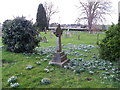 ST7818 : Snowdrops, St Gregory's Churchyard by Maigheach-gheal