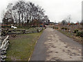 SO7104 : Slimbridge Wildfowl Reserve, Gloucestershire by David Dixon