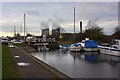 SJ5686 : A freight train passes the marina on the Sankey Valley Canal by Ian Greig