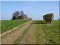 SU4740 : Farmland, Wonston by Andrew Smith