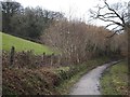  : Field west of Little Shell Wood beside Camel Trail by David Smith