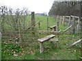 SE4430 : Double stile over fenced hedge by Christine Johnstone