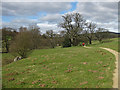 SE6796 : Walkers in Farndale by Pauline E