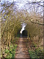 TM3876 : Swan Lane footpath to Blyth Road by Geographer