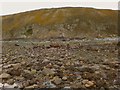 NX4135 : Cliffs by Bloody Neuk by Andy Farrington