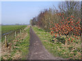 SJ7691 : Trans Pennine Trail by David Dixon