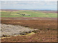 NZ0045 : Muggleswick Common (2) by Mike Quinn