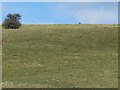 SD9498 : Cyclist on the bridleway to Botcher Gill Gate by Christine Johnstone