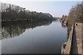 SO8169 : River Severn near Stourport-on-Severn by Philip Halling