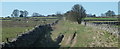 SK1366 : Hutmoor Butts towards the main road by Andrew Hill