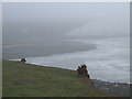 TV5197 : Clinging on near Cuckmere Haven by Malc McDonald