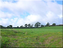  : Pasture Field at Withial by Nigel Mykura