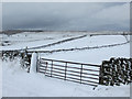 SD8073 : Field gate alongside the road to High Birkwith by John S Turner