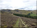 NT0330 : Track leading down to Juniper Knowes by Alan O'Dowd