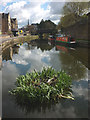 SD4761 : Hitchin' a ride, Lancaster Canal by Karl and Ali