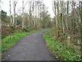 NZ1557 : Red Kite Trail waymark, Low Friarside by Christine Johnstone