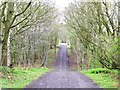 NZ1355 : Missing bridge on the former railway line by Christine Johnstone