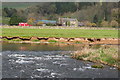 NT3039 : Rapids on the Tweed, Horsburgh by Jim Barton