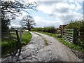 NZ1547 : Track to Margery Flatts, off Newbiggin Lane by Christine Johnstone