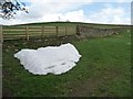 NZ1346 : April patch of snow, Humber Hill by Christine Johnstone