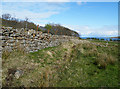  : Drystane Dyke by Anne Burgess