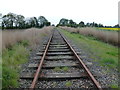 TF4406 : Disused railway track between Wisbech and March by Richard Humphrey