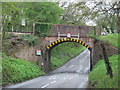 SZ5589 : Railway bridge at Havenstreet by Malc McDonald