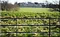 TM3473 : Metal fence, Heveningham by nick macneill