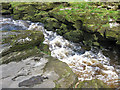 SE0656 : River Wharfe being forced through The Strid by Pauline E