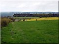  : Public footpath nearing Buck's Nook Lane by Andrew Curtis