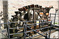 SO5271 : Waterwheel, Ashford Mill, Ashford Carbonell by Chris Allen