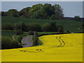 SU7450 : Downland at Odiham by Colin Smith