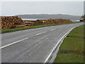 NM6343 : Timber pile at Fishnish Bay by M J Richardson