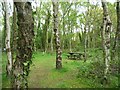 SJ7371 : Picnic site, Shakerley Mere by Christine Johnstone