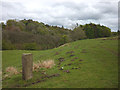 SD5754 : Wyre Way marker stone near Doeholme by Karl and Ali