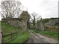 NY8157 : The former rail bridge on Collier Lane by Ian S