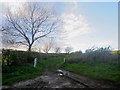 NU0334 : Farm track near Hetton Law by Graham Robson