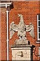 TQ2550 : Eagle, Reigate Priory by Ian Capper