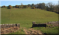 SS8777 : Hillside and gateway north of Candleston Castle by eswales