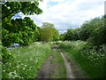 TQ2968 : Path on Mitcham Common alongside Windmill Road by Marathon