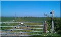 NU0141 : Public footpath near Lowick by Graham Robson