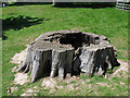 SU9722 : Petworth Park: tree stump by Stephen Craven