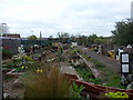 ST6074 : Bristol: Stapleton Road Community Garden by Chris Downer