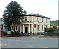 SO0428 : The Puzzle Tree and a monkey puzzle tree, Brecon by Jaggery