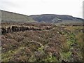 NG4272 : Heather moorland by Richard Dorrell