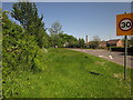 ST0512 : Road verge outside Uffculme by Derek Harper